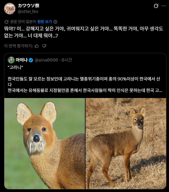 KakaoTalk_20260417_142340152.png
