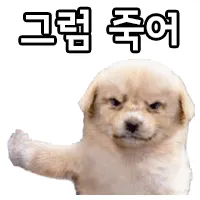 2.webp