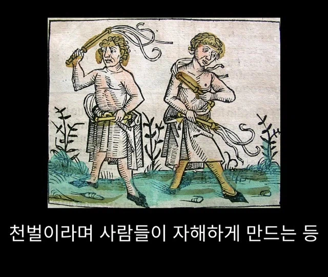 19cb26c5b8a5434be.webp