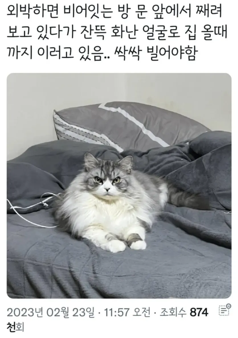 J0Wvj.webp