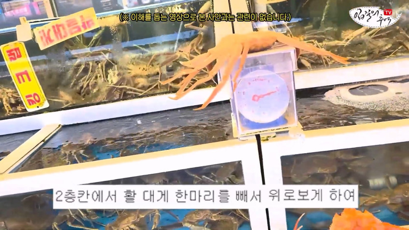 수산시장 내부자의 충격 폭로, 단골도 예외가 아닙니다 어떻게 팔길래 알아보니.(입문철TV EP.35)_20260418_002531.799.jpg