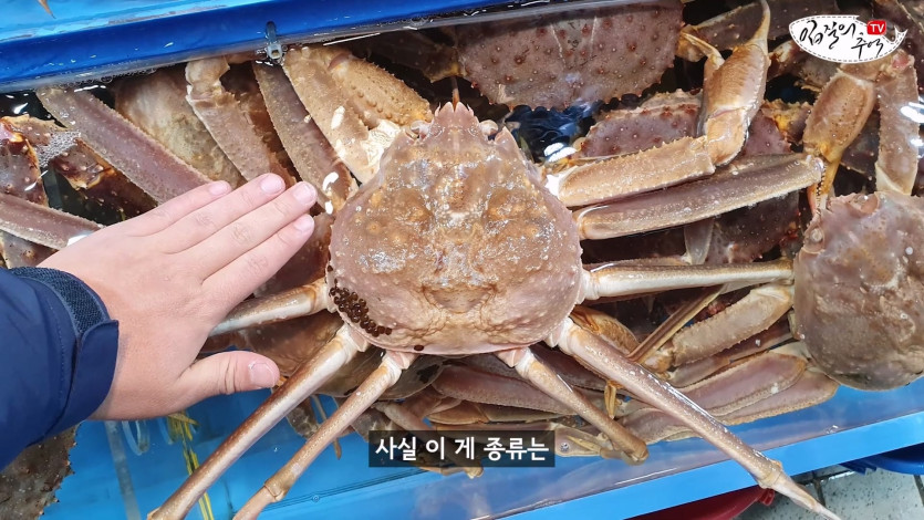 수산시장 내부자의 충격 폭로, 단골도 예외가 아닙니다 어떻게 팔길래 알아보니.(입문철TV EP.35)_20260418_001010.918.jpg