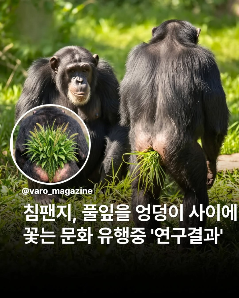 0e5e4c27aa9f4276af7da646288b9067.webp.jpg