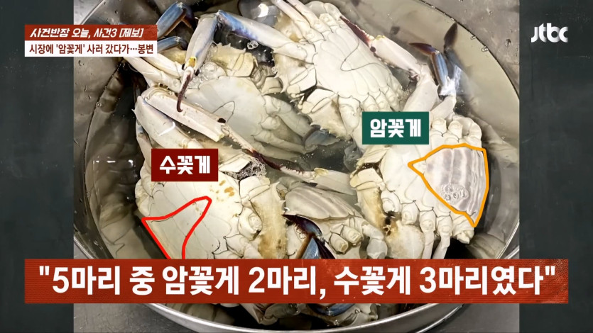 JTBC 사건반장_20260423_235751.002.jpg