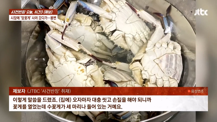 JTBC 사건반장_20260423_235615.283.jpg