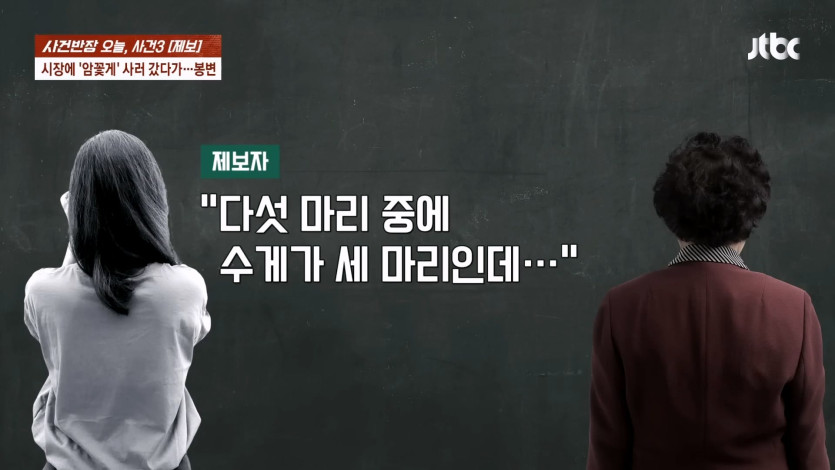 JTBC 사건반장_20260424_000430.018.jpg