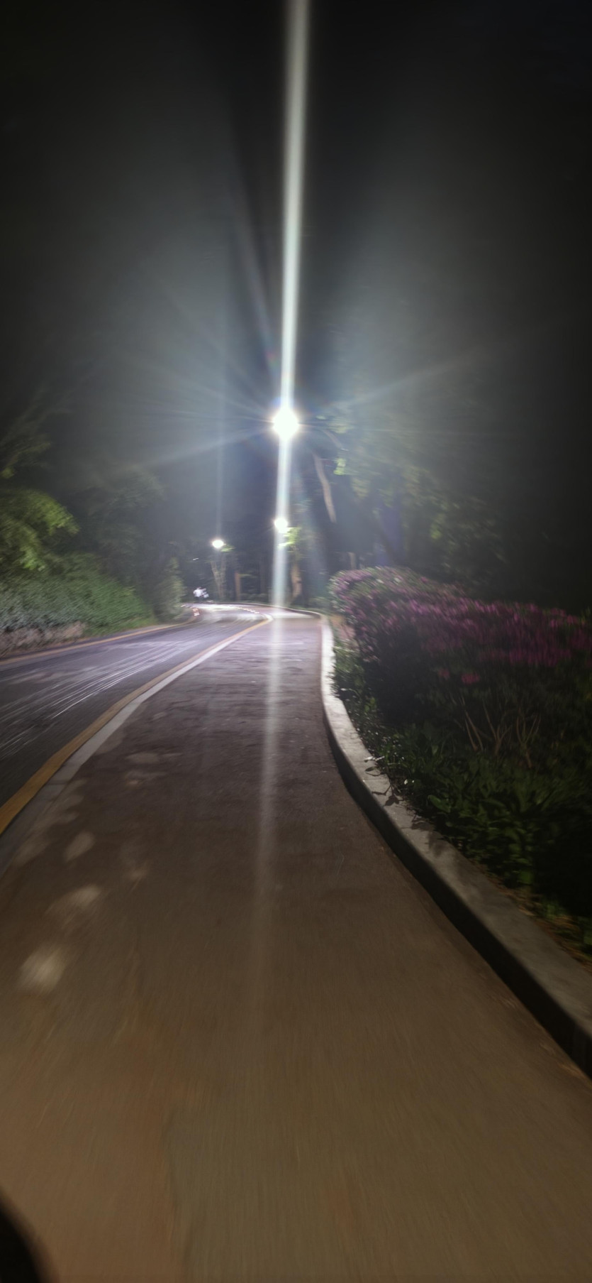 20260425_212221.jpg