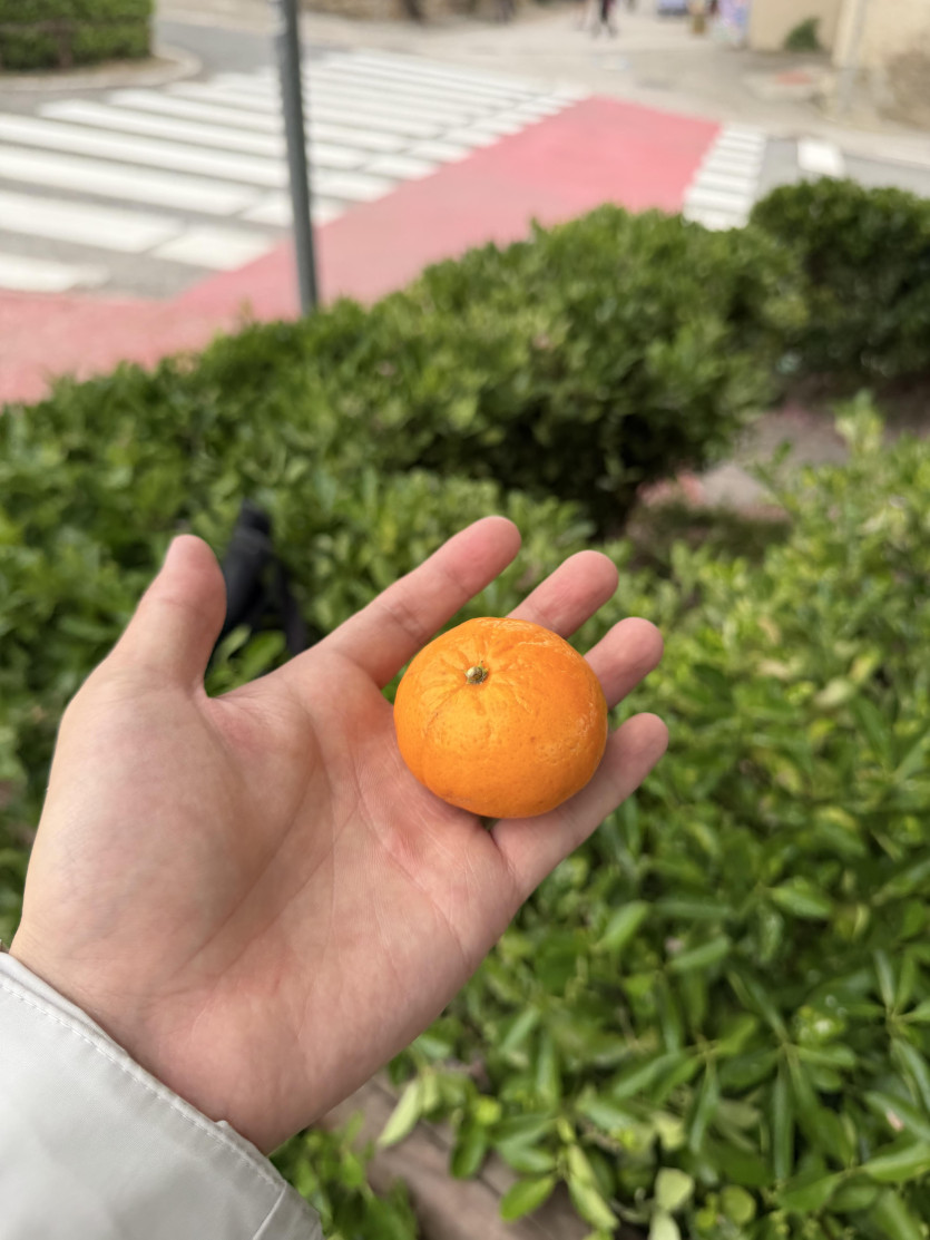 IMG_2259.jpeg.jpg