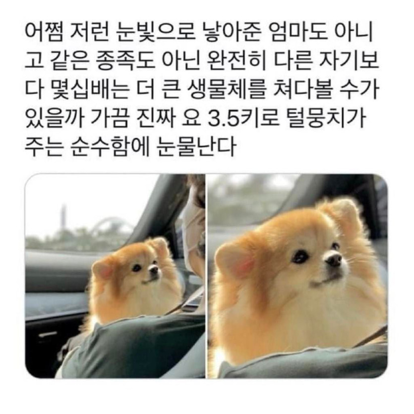 9e95aae43722682da9d797432f8f6fd1772ea102.jpeg
