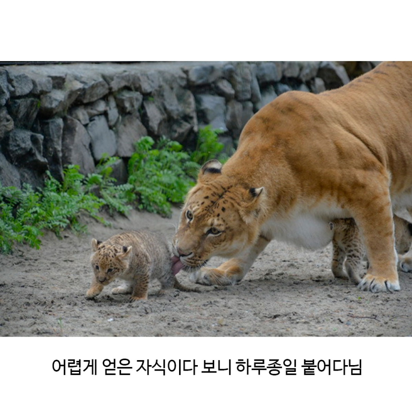 Screenshot_20260502_204820_Instagram.png