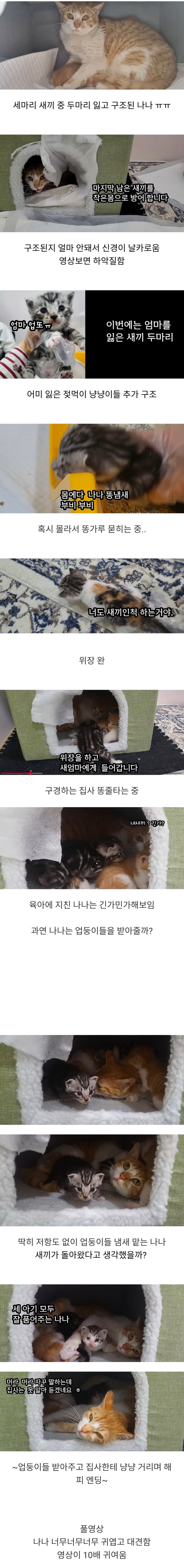 ㅅㅋㅇㅇㅇㅁ.jpg
